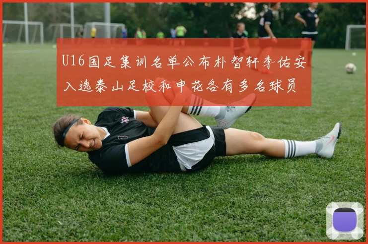 U16国足集训名单公布朴智轩李佑安入选泰山足校和申花各有多名球员参与