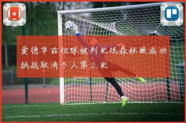 爱德华兹切球被判犯规森林狼成功挑战取消个人第三犯