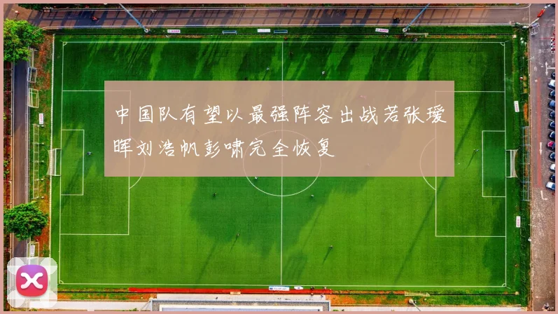 中国队有望以最强阵容出战若张瑷晖刘浩帆彭啸完全恢复