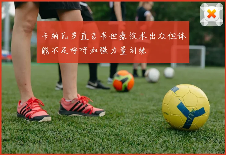 卡纳瓦罗直言韦世豪技术出众但体能不足呼吁加强力量训练