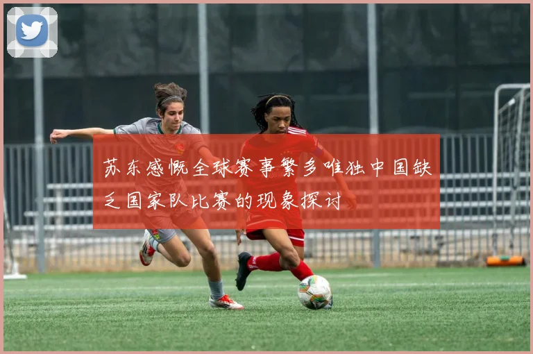 苏东感慨全球赛事繁多唯独中国缺乏国家队比赛的现象探讨