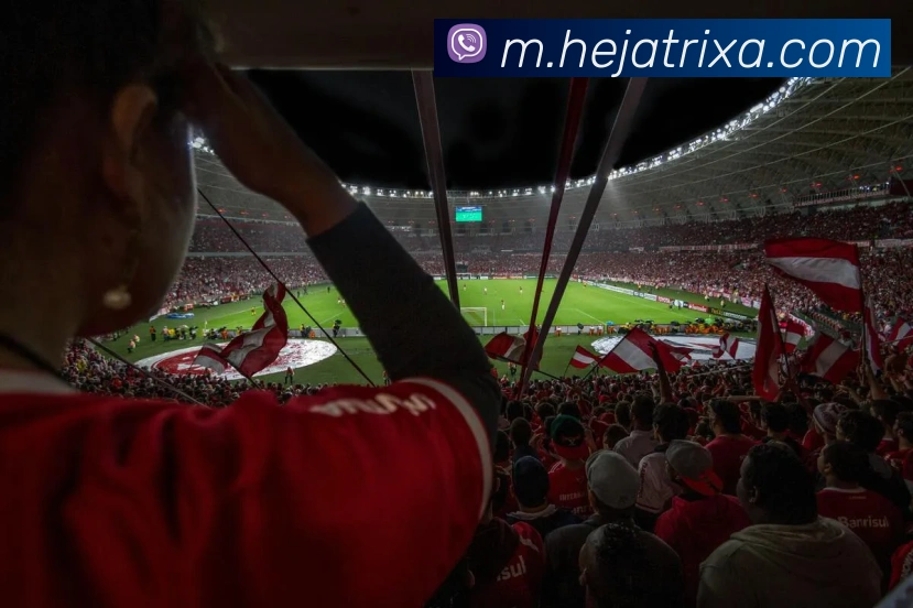 和记体育发展历程